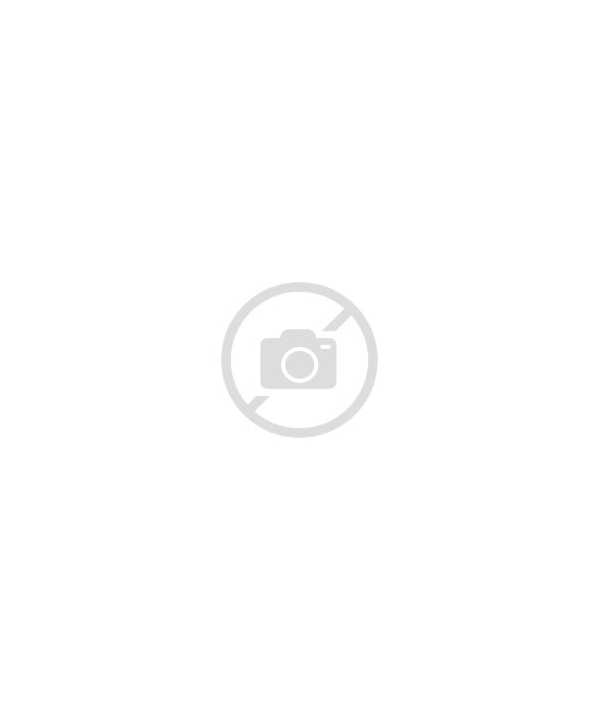 blix_01